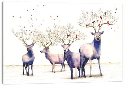 Magical Deer Canvas Art Print - Flavia Cuddemi