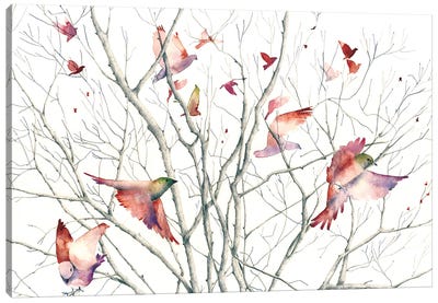 Birds Canvas Art Print - Flavia Cuddemi