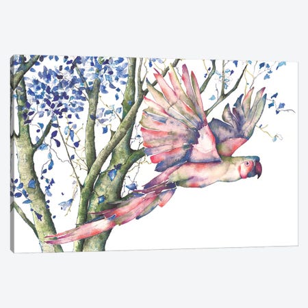 Parrot Canvas Print #FVC14} by Flavia Cuddemi Canvas Print