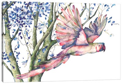 Parrot Canvas Art Print - Flavia Cuddemi