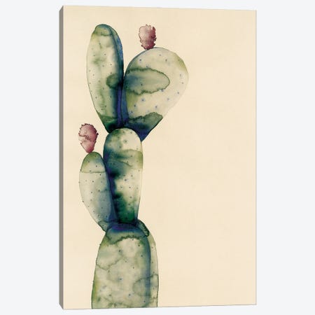 Cactus Canvas Print #FVC18} by Flavia Cuddemi Canvas Artwork