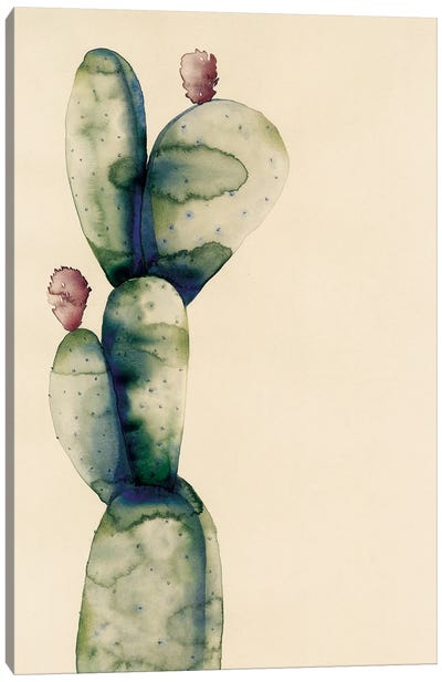 Cactus Canvas Art Print - Flavia Cuddemi
