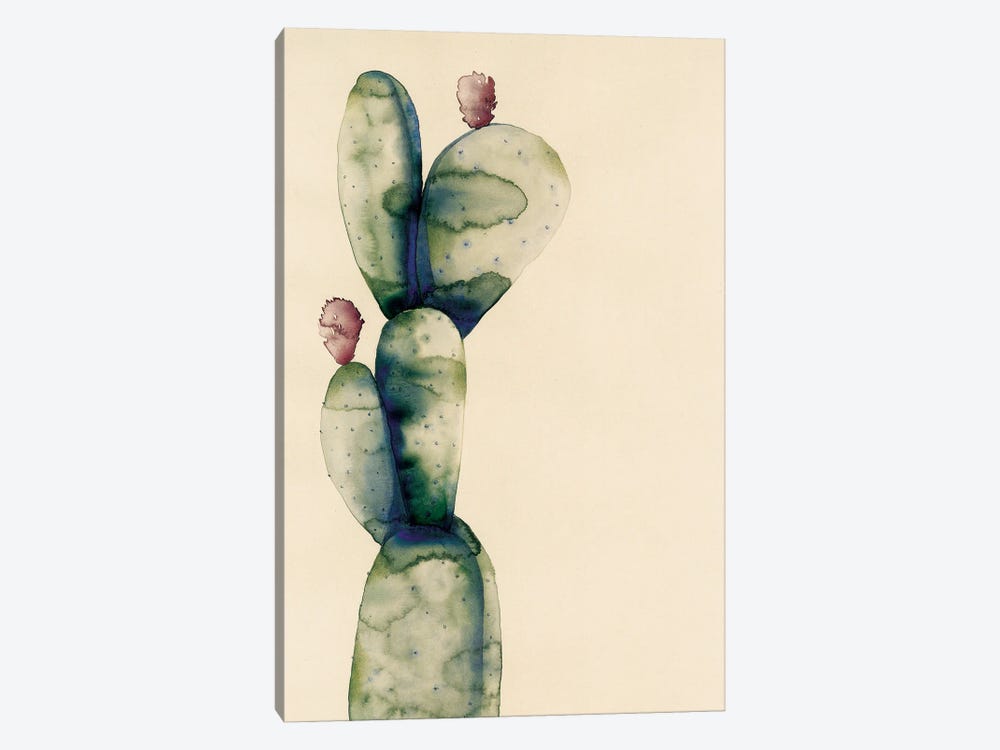 Cactus by Flavia Cuddemi 1-piece Canvas Art Print