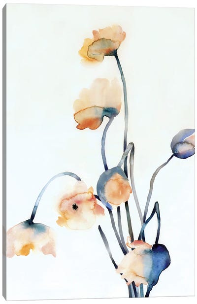 Flowers Bouquet VI Canvas Art Print - Flavia Cuddemi