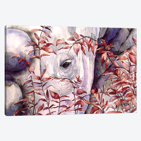 Rhino II Canvas Print #FVC9} by Flavia Cuddemi Canvas Wall Art