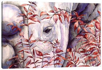 Rhino II Canvas Art Print - Flavia Cuddemi