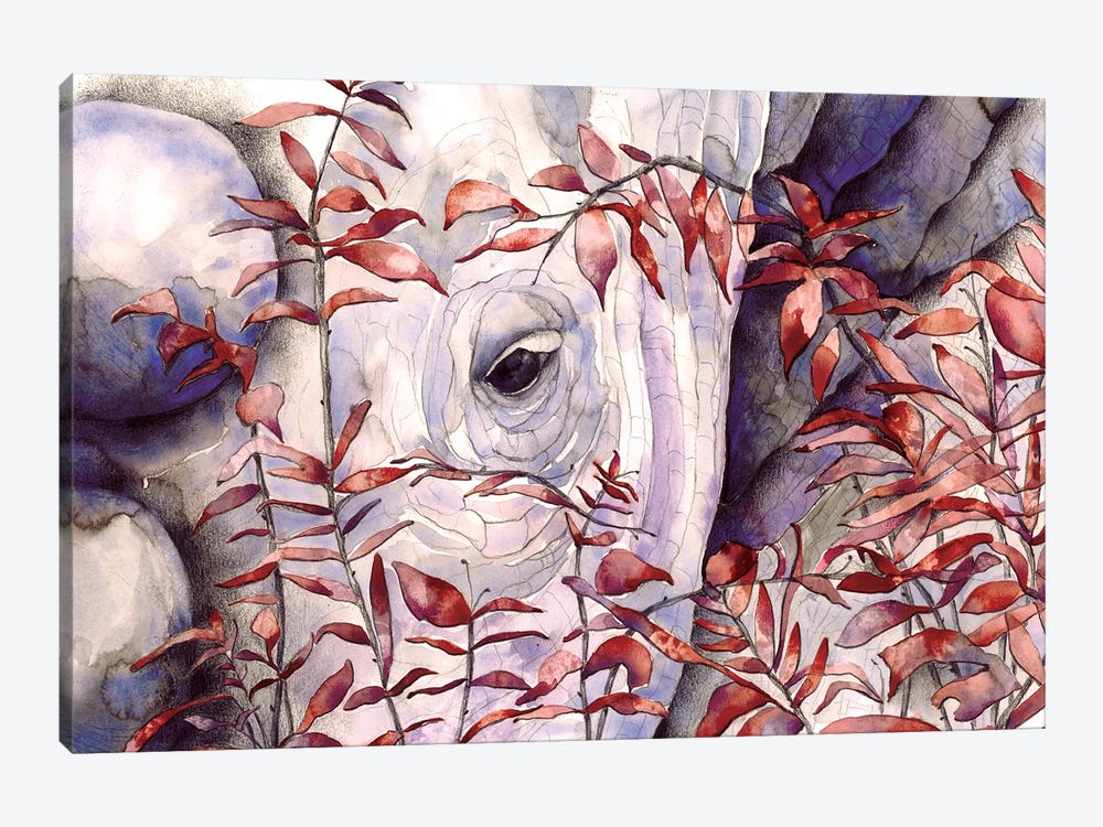 Rhino II by Flavia Cuddemi 1-piece Canvas Art