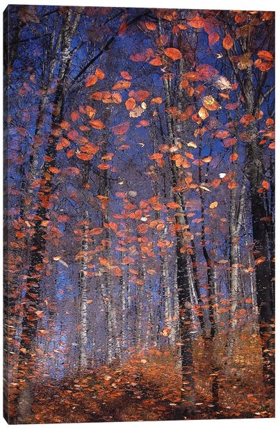 Autumn Leaves Canvas Art Print