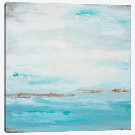 Smooth Sea I Canvas Print #FWA120} by Françoise Wattré Canvas Wall Art