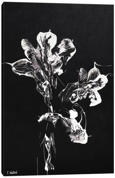 Midnight Disguise Canvas Art Print - Textured Florals