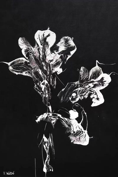 Large Black & White Art - Canvas Prints: Midnight Disguise by Françoise Wattré