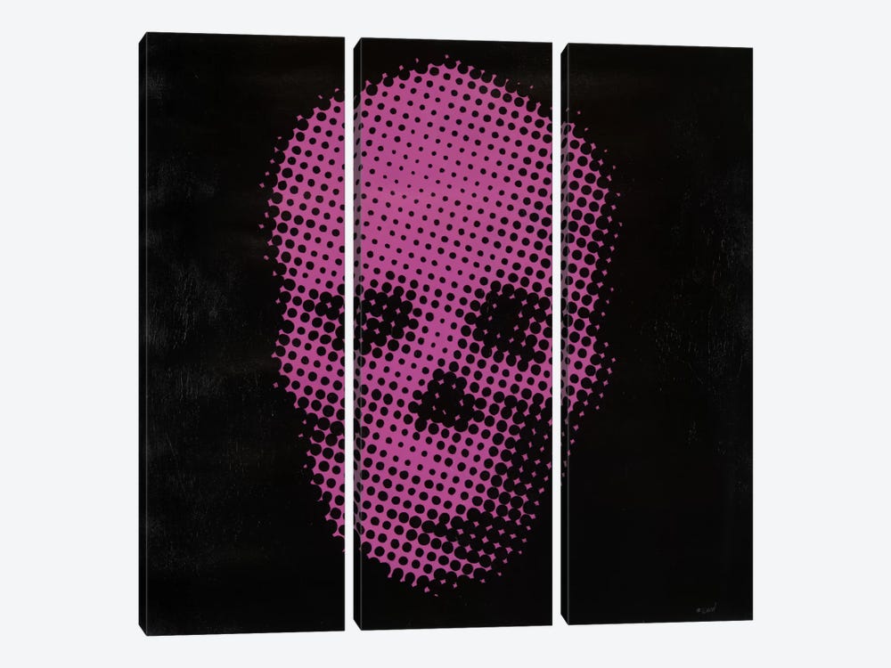 Pink Skull by Francis Ward 3-piece Canvas Art Print