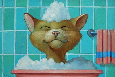 Cat In The Bath by Frank Warmerdam framed canvas print
