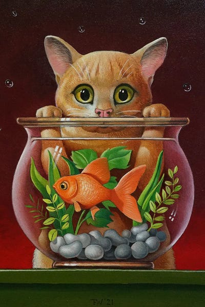Not For The Cat