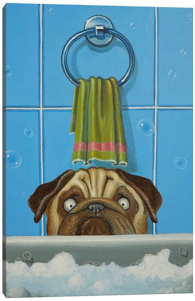 Bob Doesn't Want To Take A Bath Canvas Art Print - Pug Art