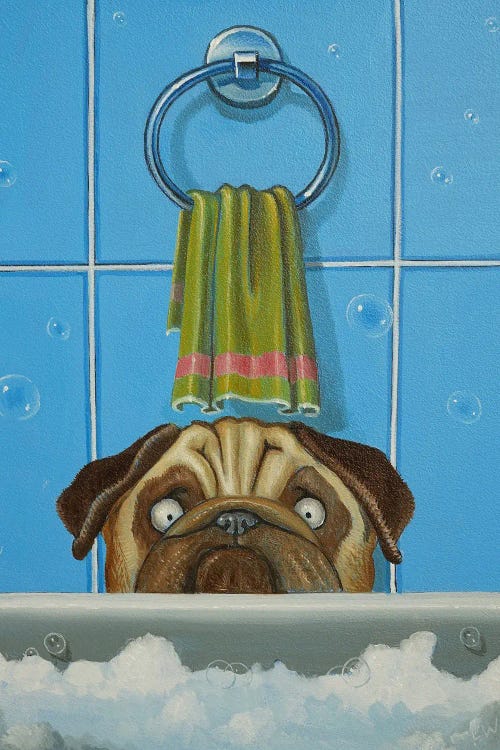 Bob Doesn't Want To Take A Bath