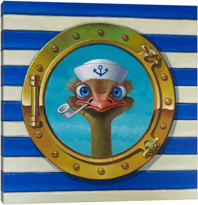 Ship Ahoy Canvas Art Print - Ostrich Art