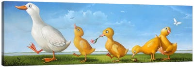 Spring Walk Canvas Art Print - Duck Art