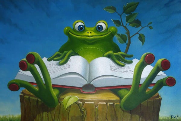 Reading: The Story Frog by Frank Warmerdam