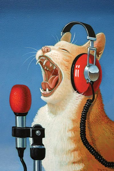 Microphones: O Sole Meow by Frank Warmerdam