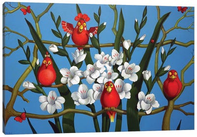 Birds Red White And Blue Canvas Art Print - Frank Warmerdam