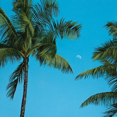 Faisal Warsani - Canvas Prints: Slow Dance by Faisal Warsani