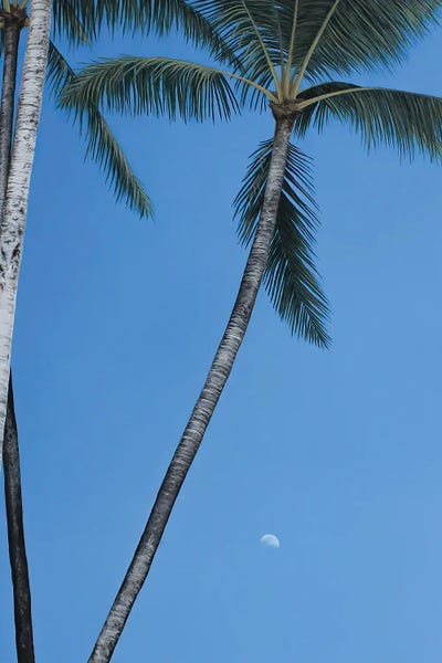 Fine Art Print: We Were Heaven And The Moon by Faisal Warsani