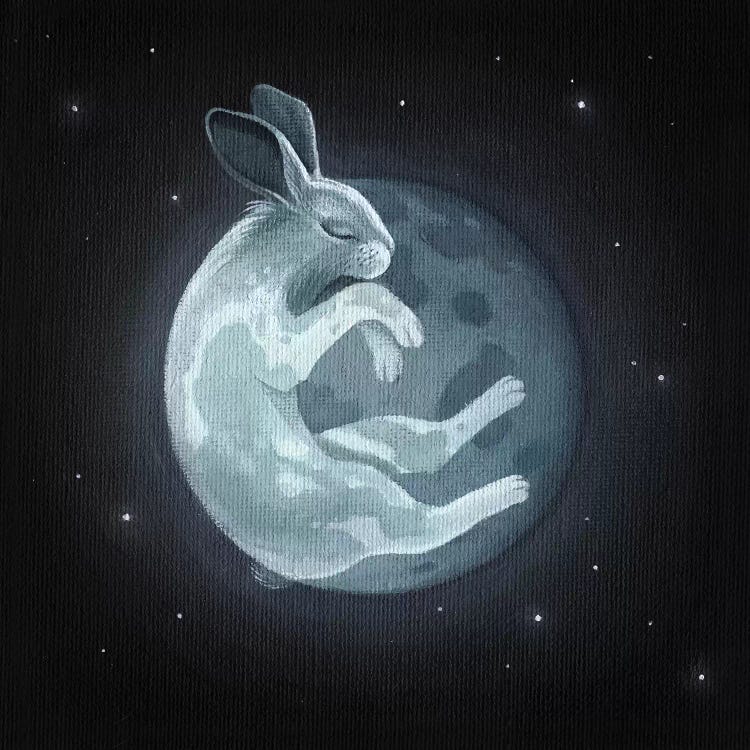 Rabbit Moon