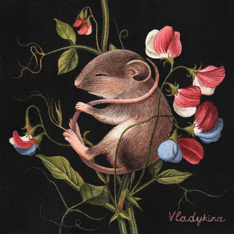 Sweet Pea