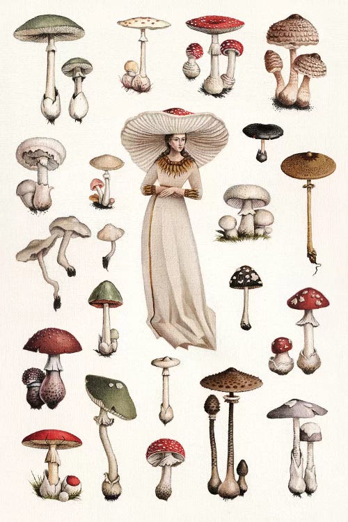 Dangerous Species In White
