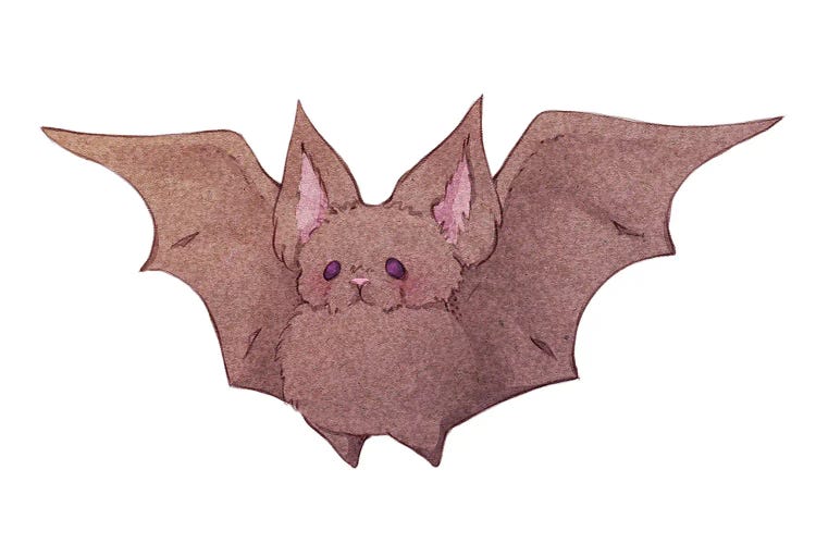 Fluffy Bat