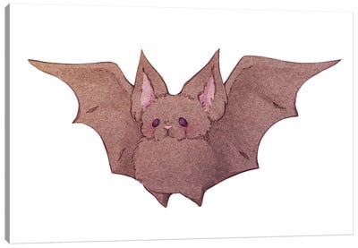 Fluffy Bat Canvas Art Print - Fairydrop Art