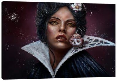 Snow, Glass And Apples Canvas Art Print - Evil Queen