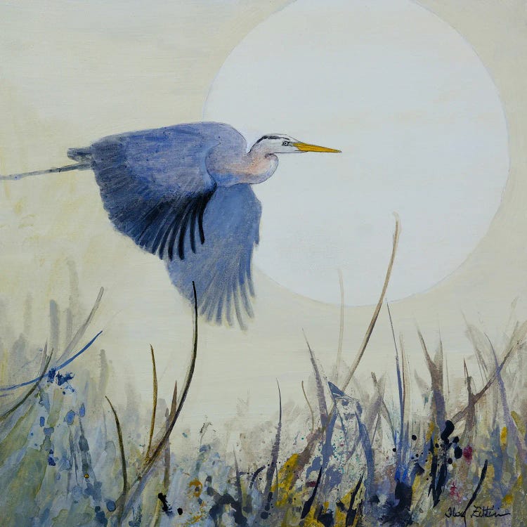 Soaring Heron