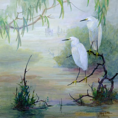 Snowy Egrets in Wetlands by Floy Zittin art print