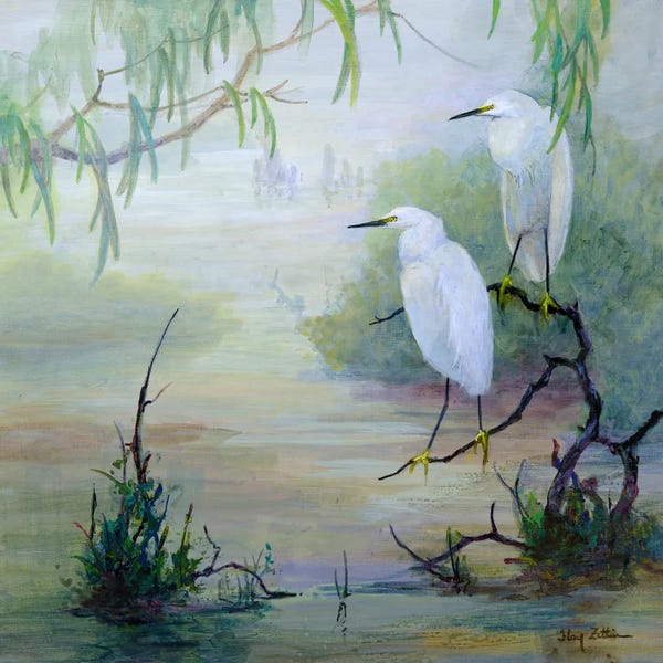 Egrets: Snowy Egrets in Wetlands by Floy Zittin