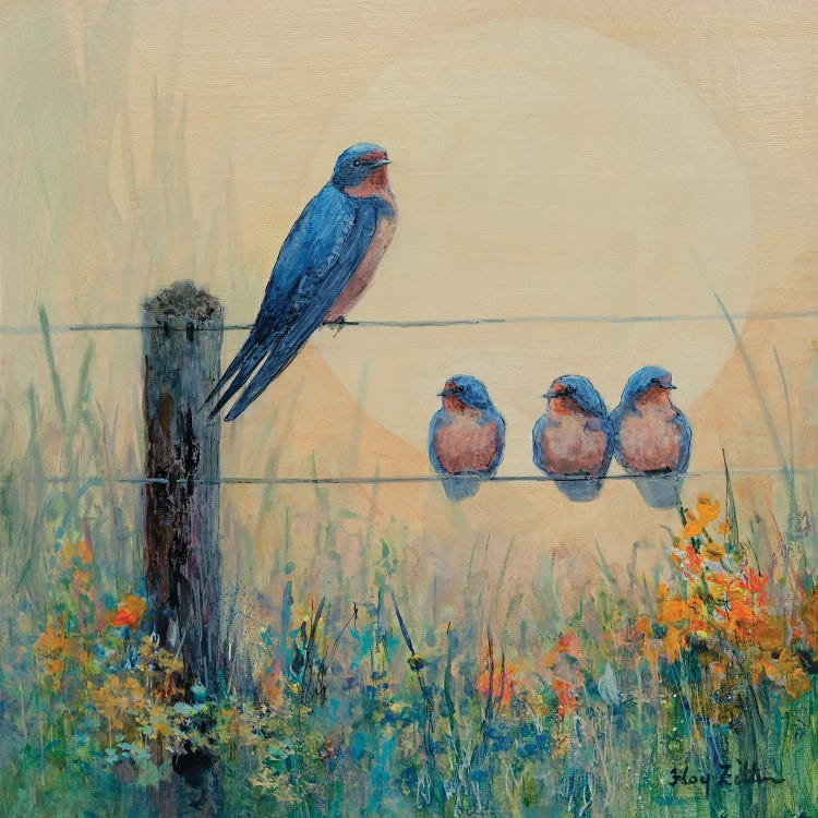 Barn Swallow Family by Floy Zittin wall art