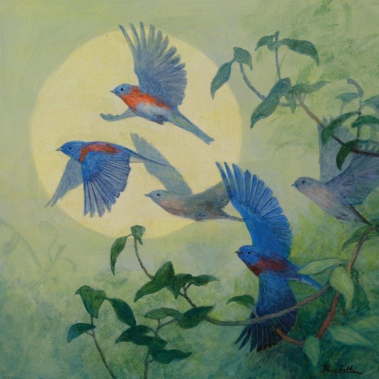 Bluebird Flock by Floy Zittin wall art