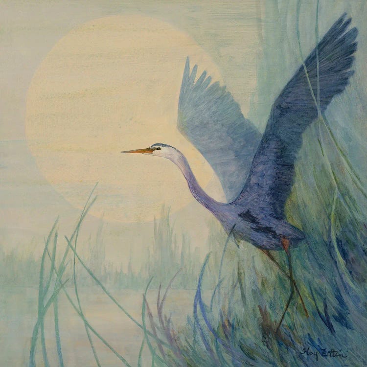 Heron Lifting Off by Floy Zittin wall art