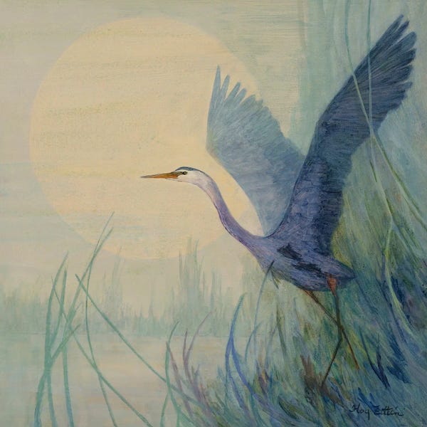 Heron Lifting Off