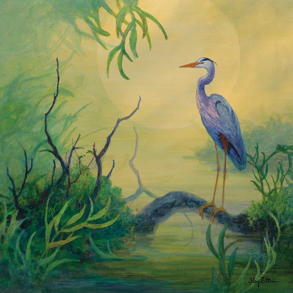 Summer Heron