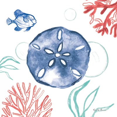 Coastal Jewels IV Coral Cove by Farida Zaman framed canvas print