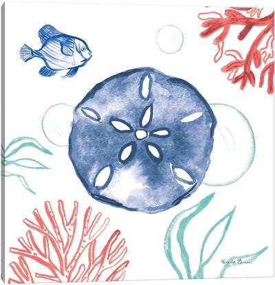 Coastal Jewels IV Coral Cove Canvas Art Print - Kids Nautical Art