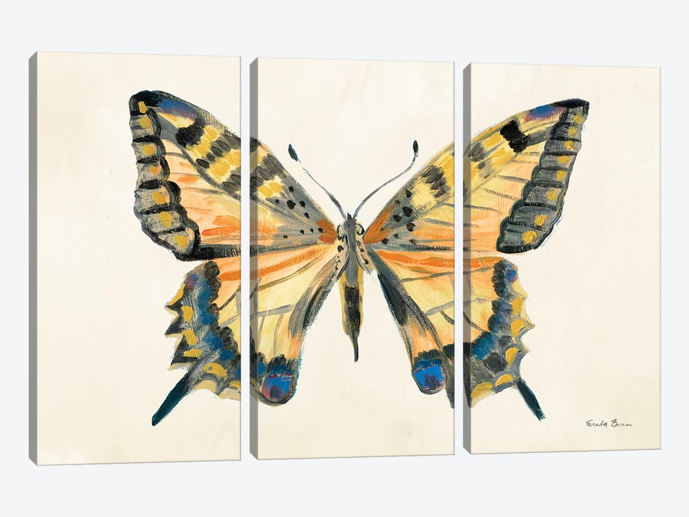 Butterfly Study II by Farida Zaman 3-piece Canvas Art