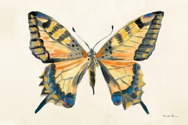 Butterfly Study II