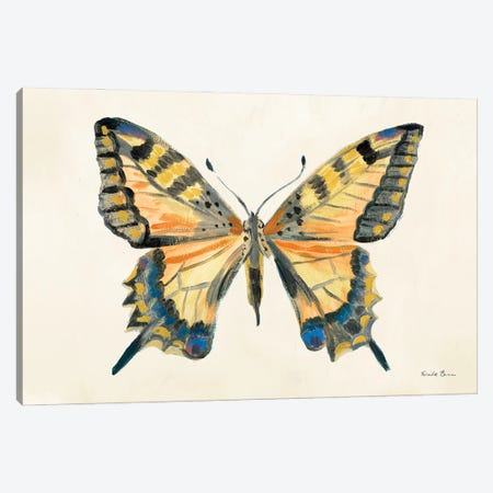 Butterfly Study II Canvas Print #FZA281} by Farida Zaman Canvas Art