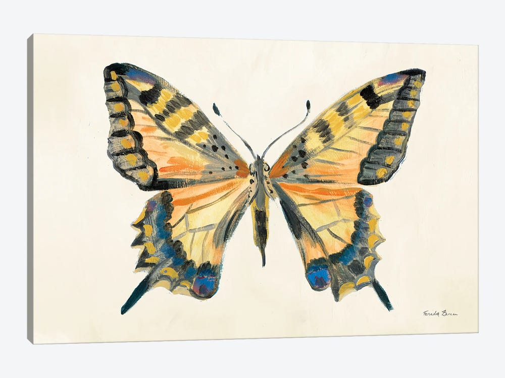 Butterfly Study II by Farida Zaman 1-piece Canvas Art