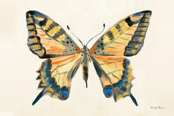 Farida Zaman: Butterfly Study II by Farida Zaman