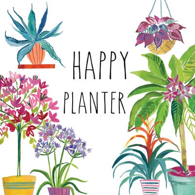 Tropical Home I by Farida Zaman canvas print