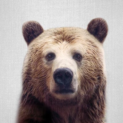 Bear by Gal Design canvas print